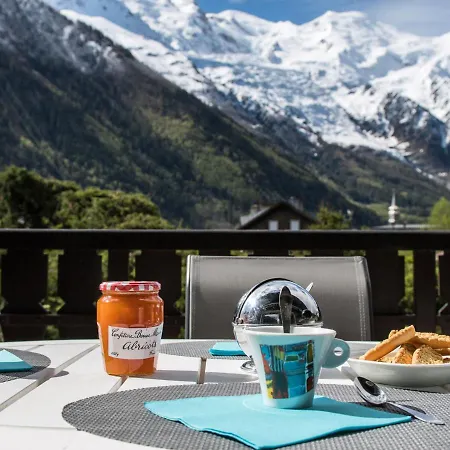 Grand Avec Terrasse Face Au Mont-blanc, Parking Et Wifi - Fr-1-343-173 * Chamonix